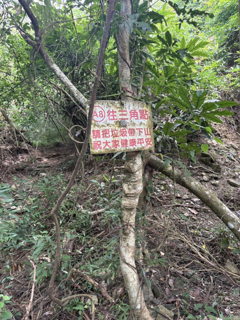 20251109棚集山步道_2935320