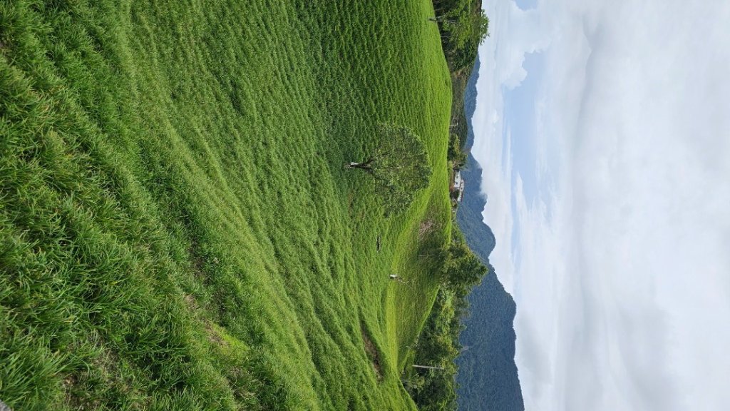 解鎖第50座小百岳#092萬人山。【爬山爬到會上癮，會不會爬到沒朋友🤣🤣】_2824642