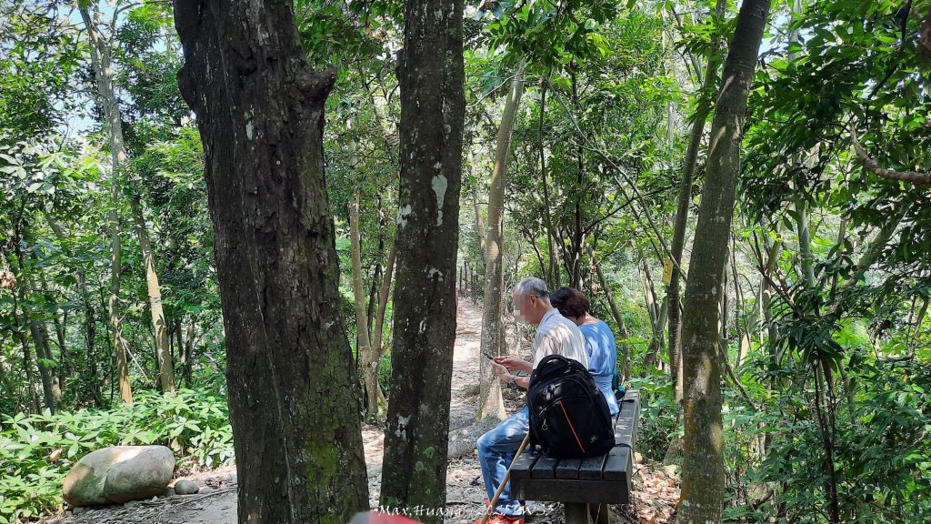 《南投》峰峰相連｜草屯九九峰森林步道O型20250906_2879245