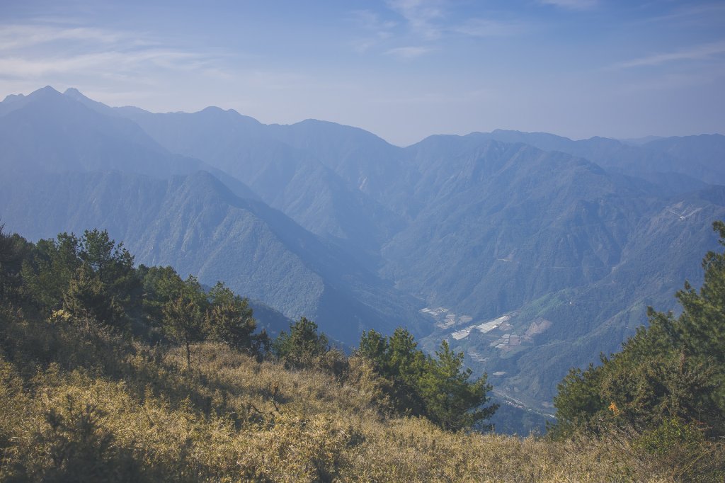 20240323-郡大山步道_2534659
