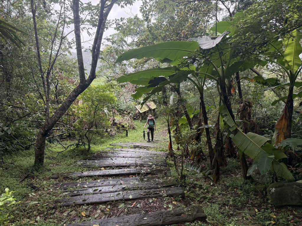 二格山 2025.07.20_2864212