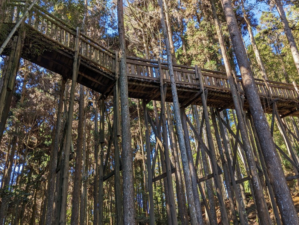 【雲林古坑】木馬古道 石壁風景區_1960766