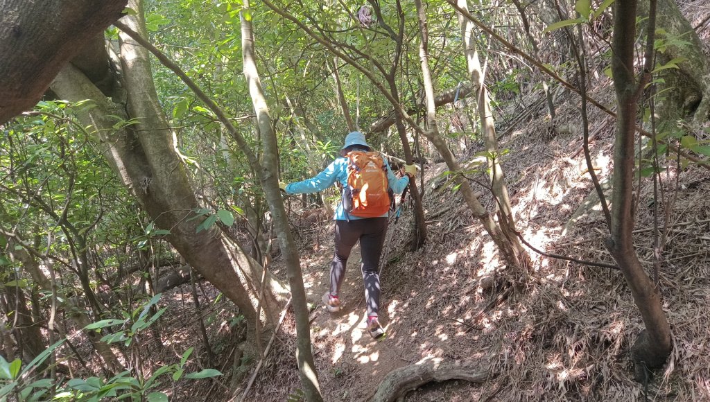(姨婆趴趴走)第四十九集:攀登連走宜蘭梗枋山、橋板湖山_2747735