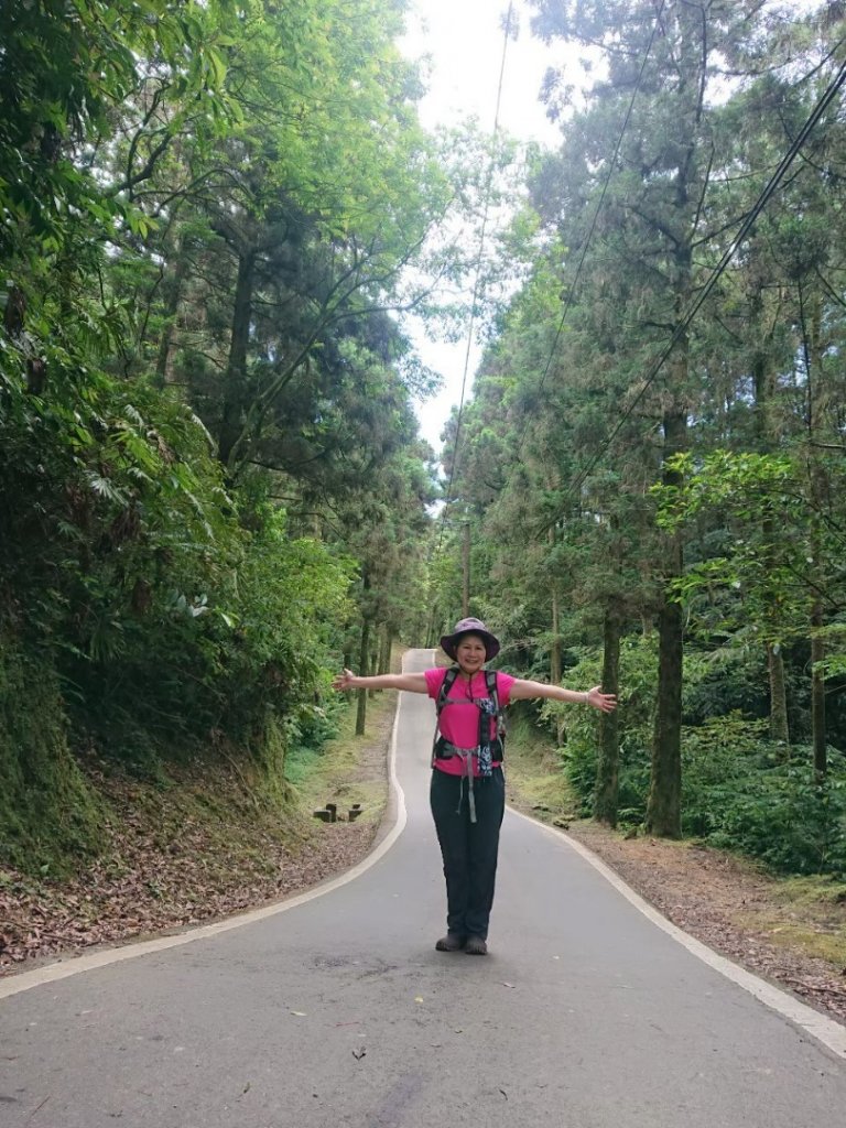 淡蘭烏山古道西段、網形山O走封面圖