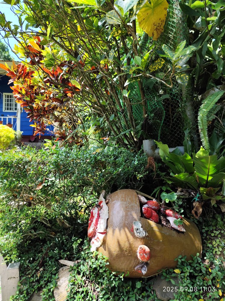 【臺北大縱走 7】2-1 樟山寺→樟樹步道→彩雲亭→相思炭窯→貓纜貓空站→指南路三段40巷_2881778