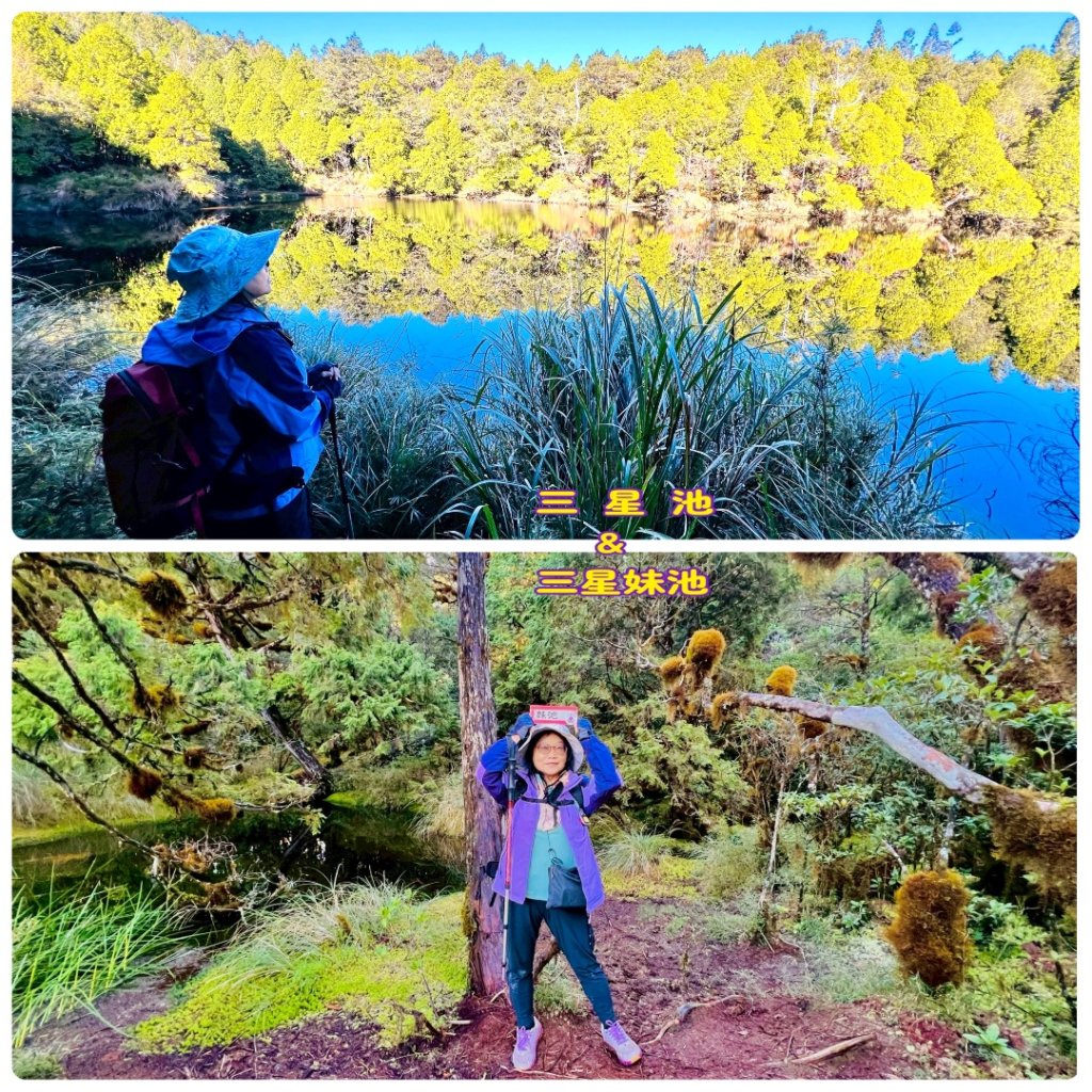 走入魔幻森林 探訪三星池與妹池封面圖