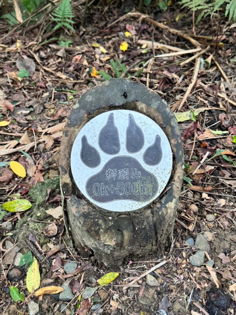 【新北】獅頭山(小獅山)步道_2512204