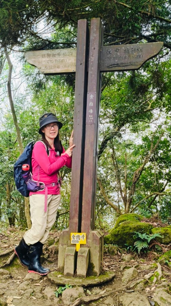 五指山走春_3009638