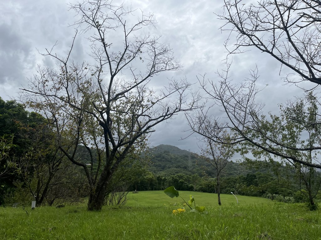 [貓空路跑健步活動任務] 2024_1002 貓空路跑健步活動_2616606