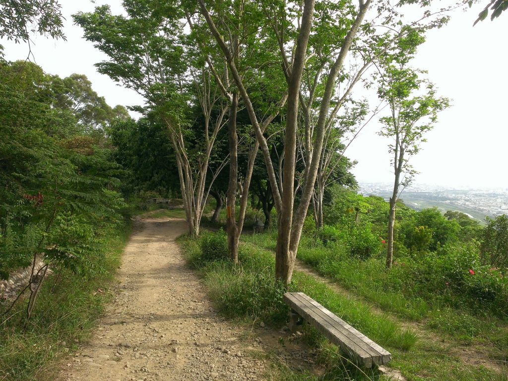 咬人狗登山步道-汪汪_338717