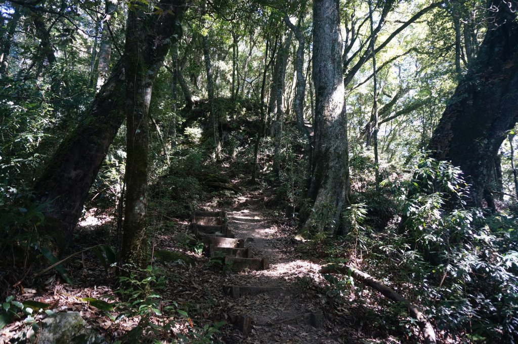 稍來山 稍來山南峰_1909961