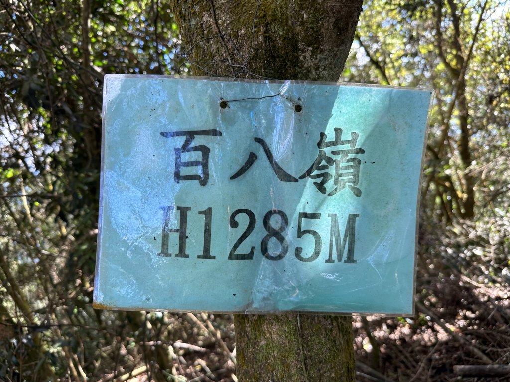 竹崎十三連峰 (阿里山四大天王越野賽路線)_1932732