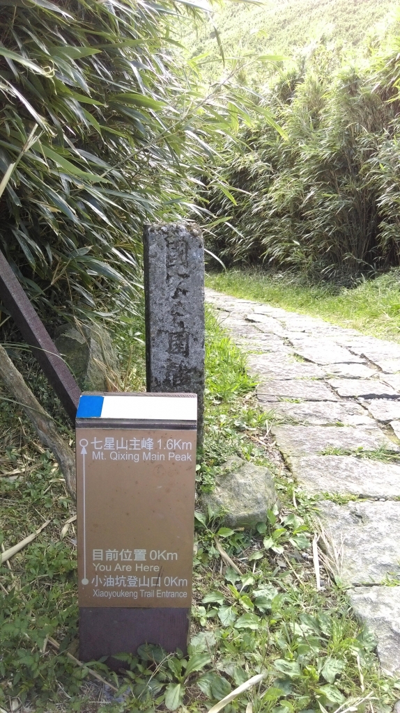 小油坑-七星山主峰-東峰 105.7.6_52059