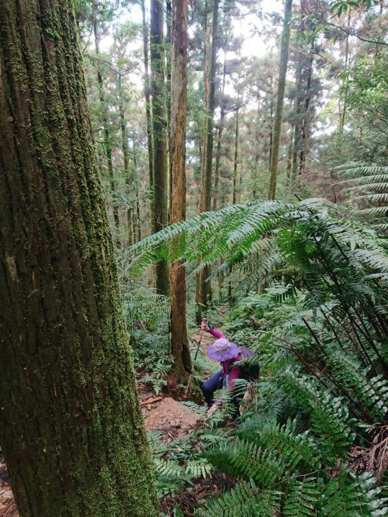 四崁水山、大桶山_1661813