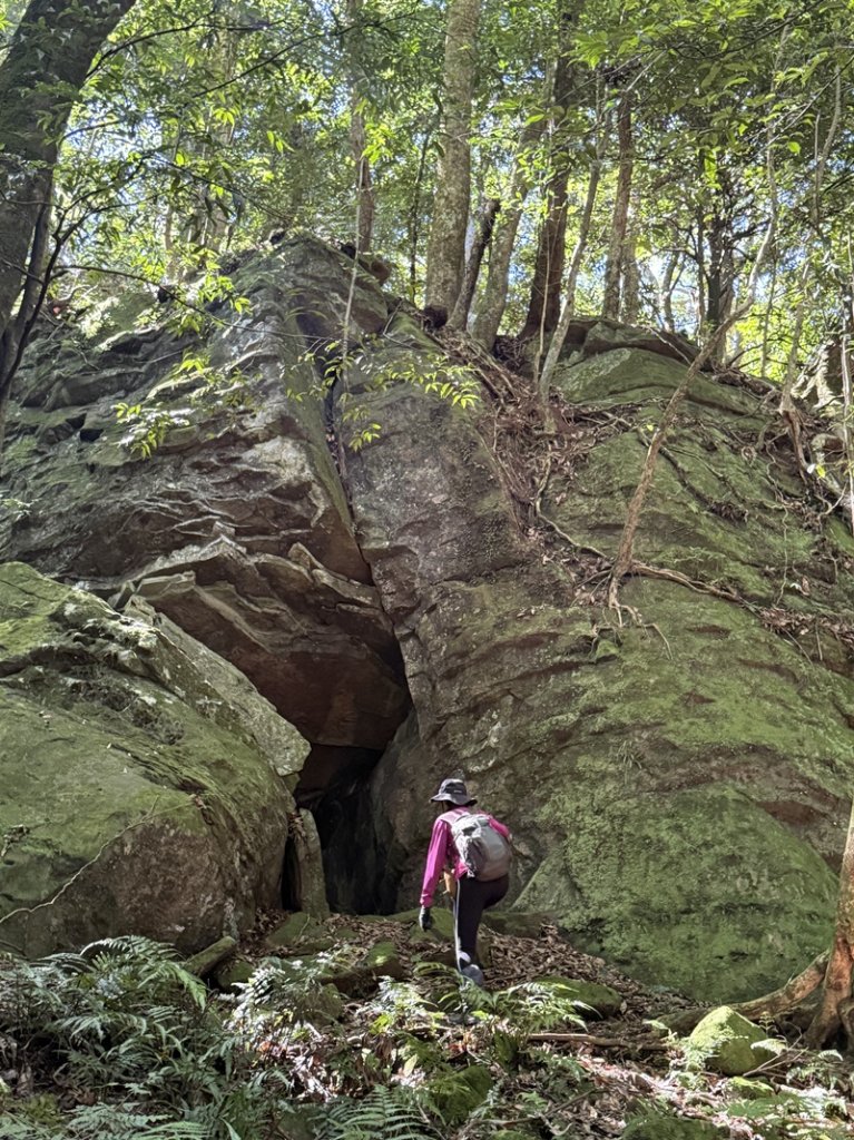 加里山隘勇線封面圖