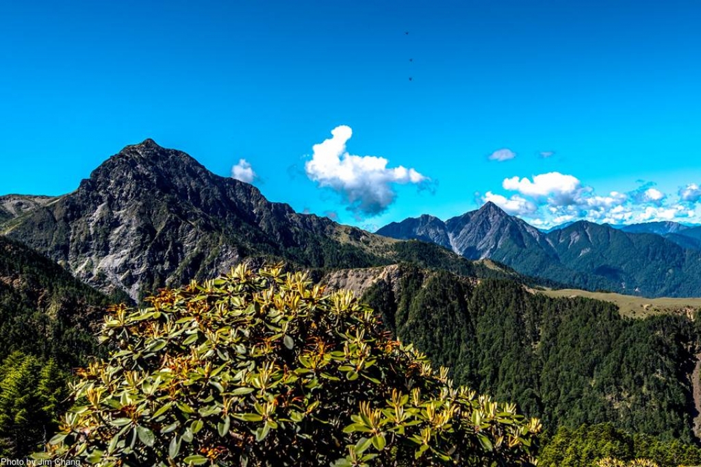 再訪南湖大山_51608