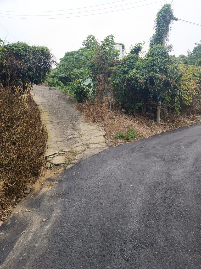 霧峰阿罩霧山封面圖