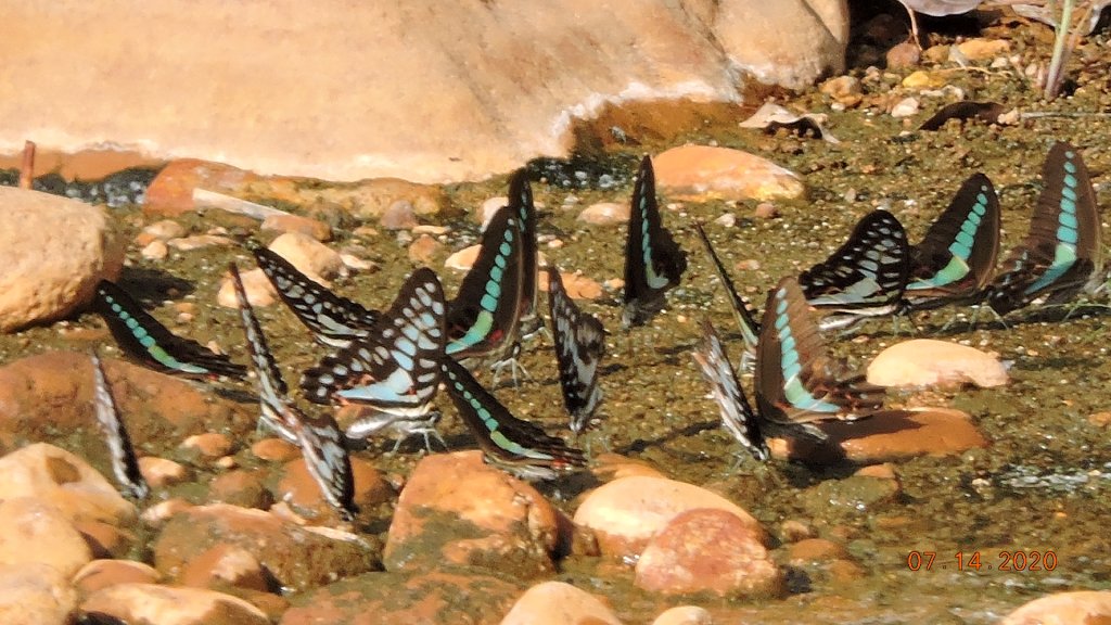 就是喜歡這個藍天白雲的FU_1032955