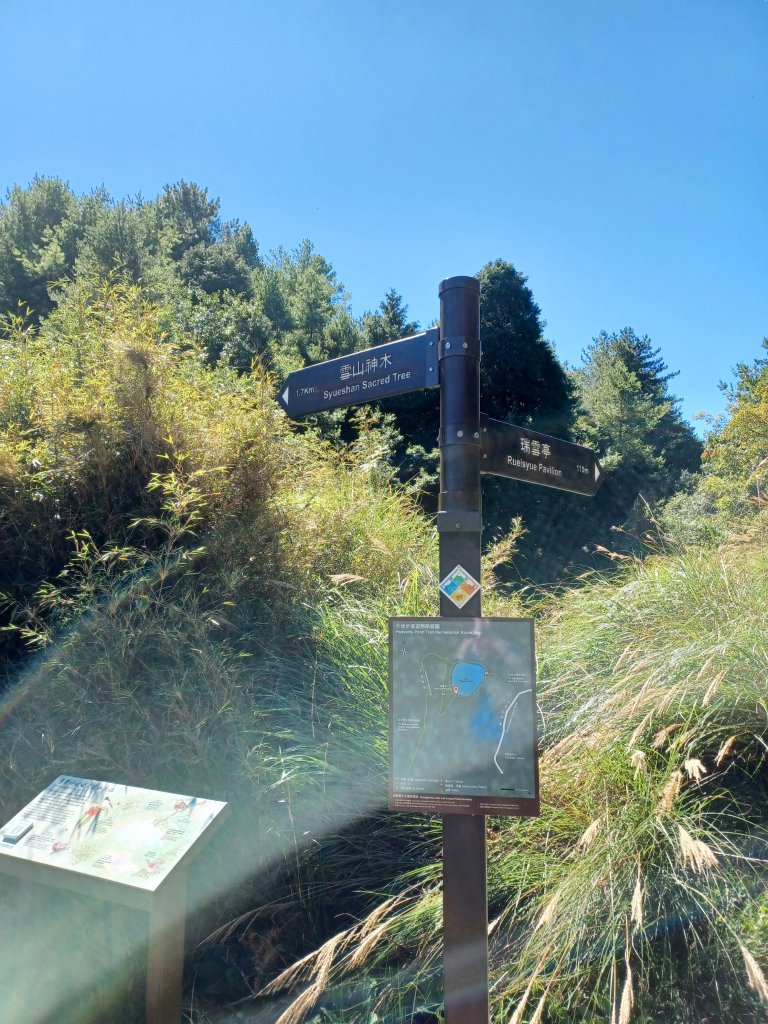 【台中和平】雪山神木步道x小雪山天池步道_2933114