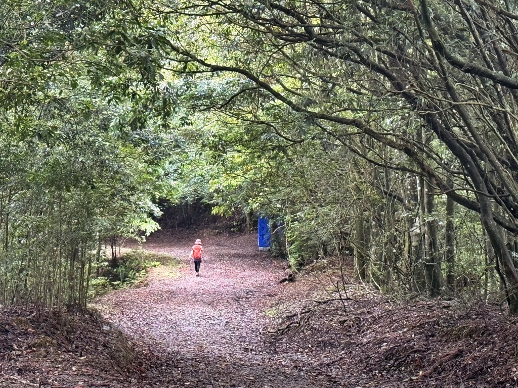 司馬限林道 訪 北坑駐在所_2811080