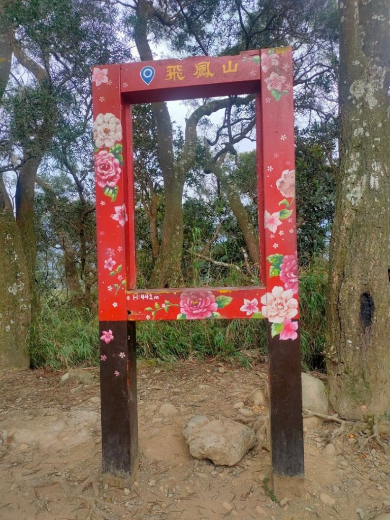 新竹［飛鳳山+中坑山+石壁潭山+大板根o形縱走］封面圖