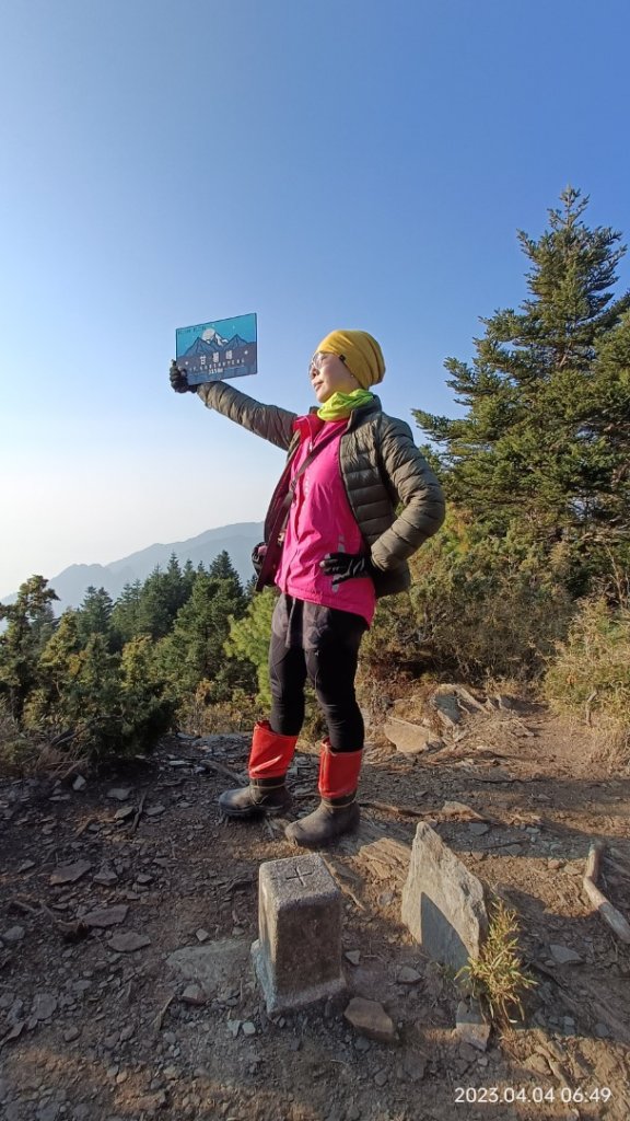 北二後段甘薯無明_2116452