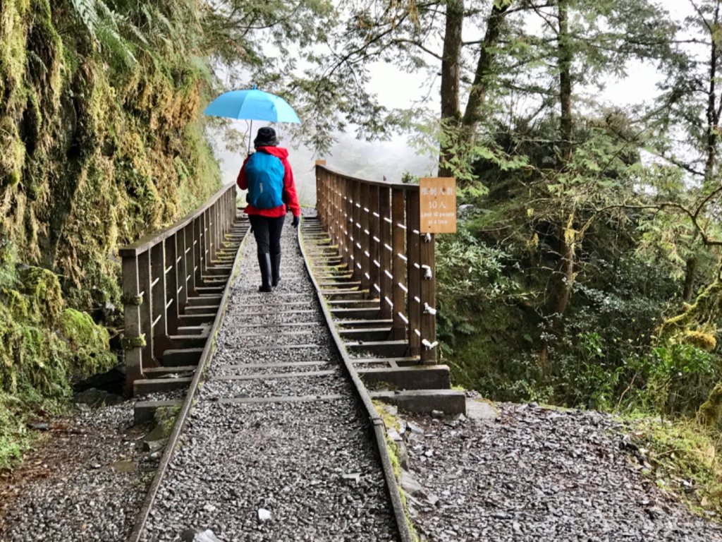 雨霧散遊太平山_885826