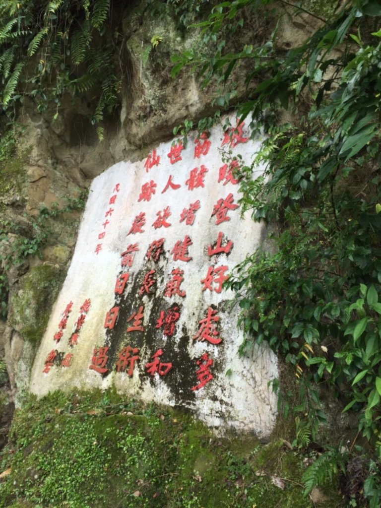 仙跡岩步道_491949