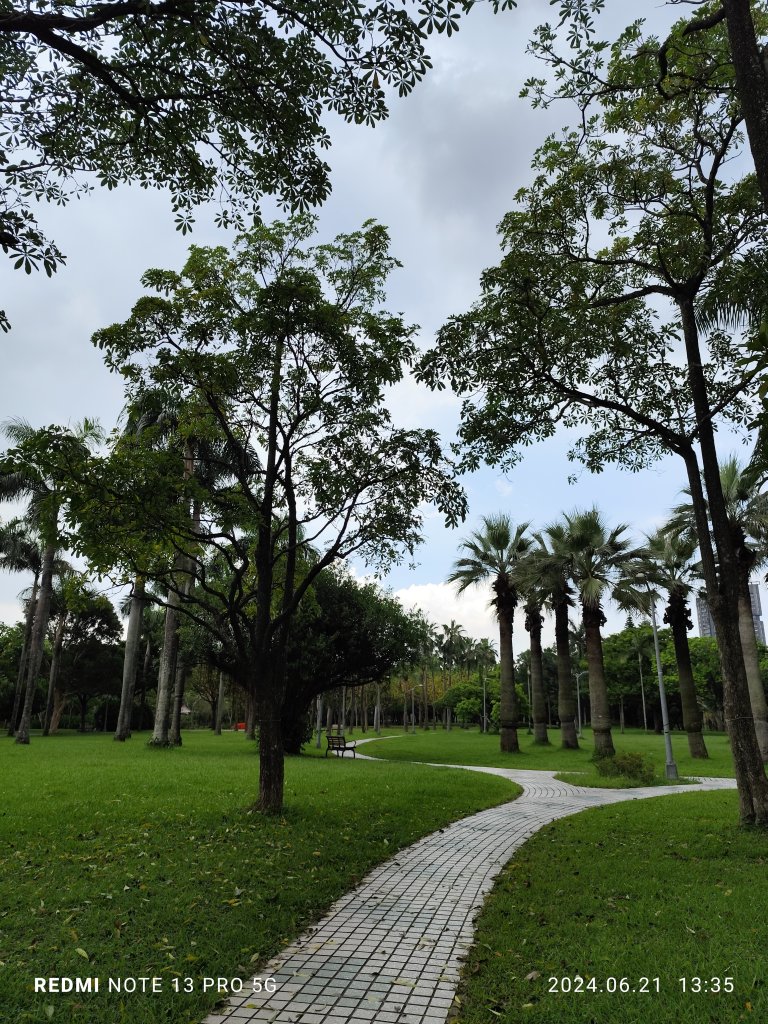 雲遊大安森林公園【走路趣尋寶，全臺齊步走】_2531606