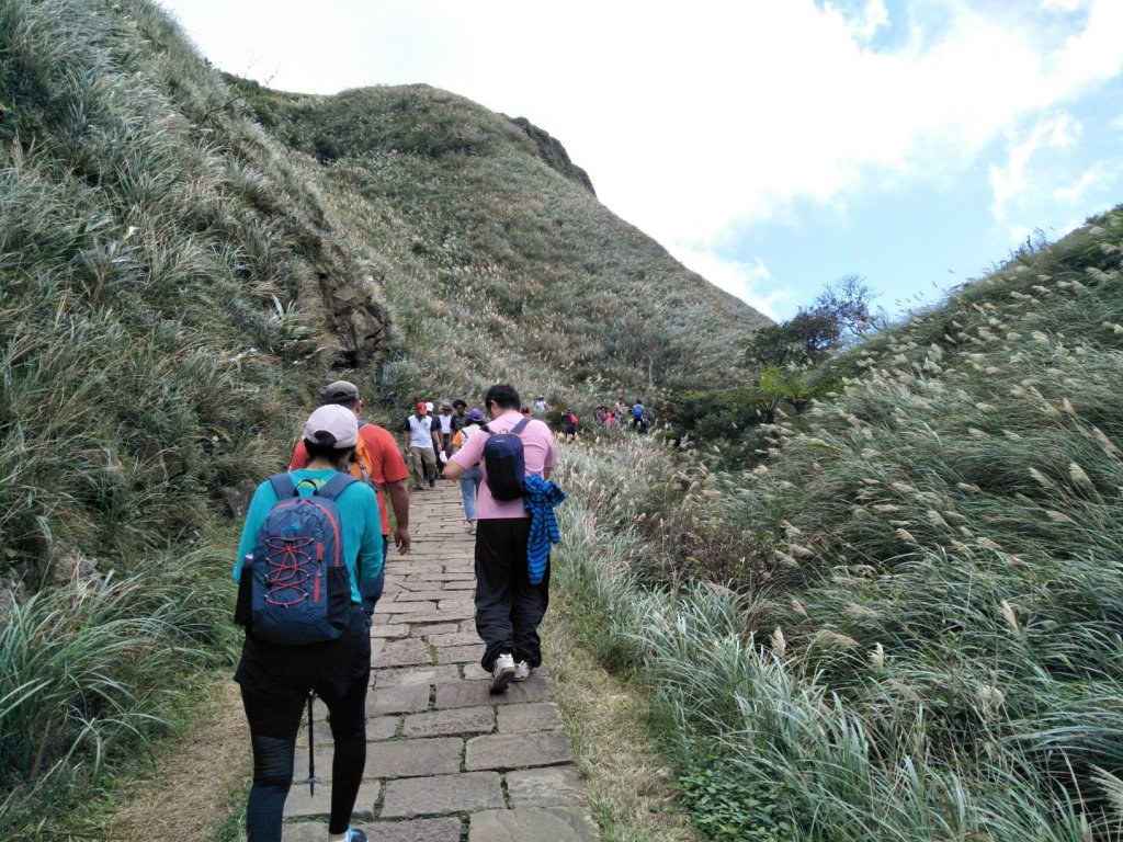 草嶺古道（福隆往大里）_752067