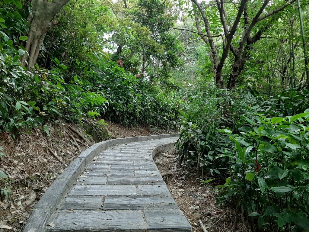 虎、豹、獅、象、九五峰、南港山、拇指山_1145130