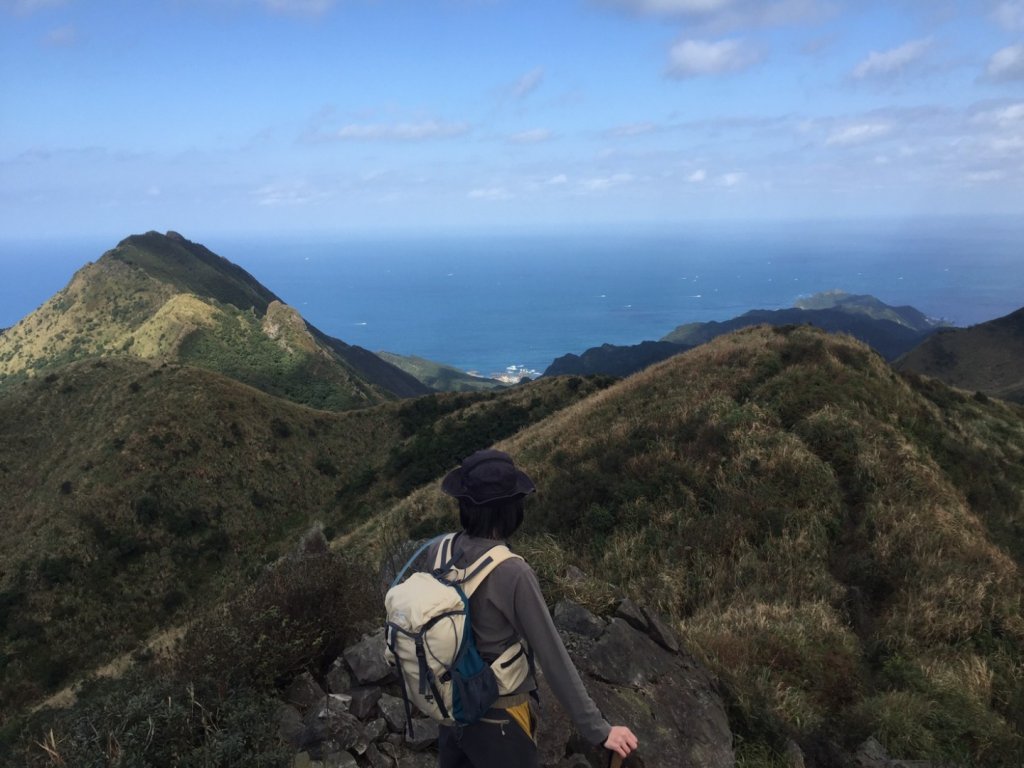 茶壺山-半屏山-燦光寮山縱走_1252979