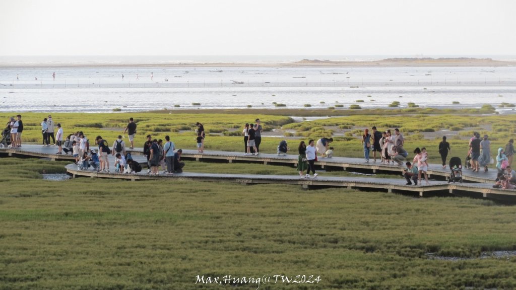 《台中》熱門棧道｜高美野生動物保護區20241005_2615436
