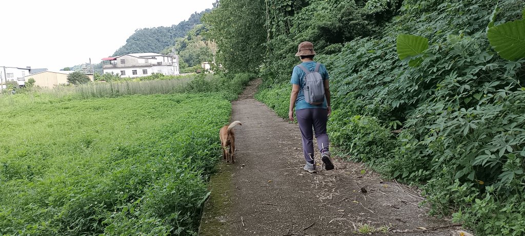 2024/06/30-大克山砲台古道_2539724