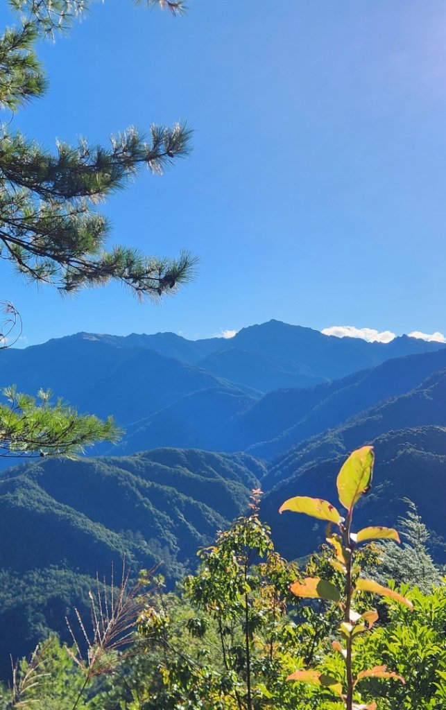 【中級山縱走】羅馬縱走，走進神木的夢幻童話森林世界_2943185