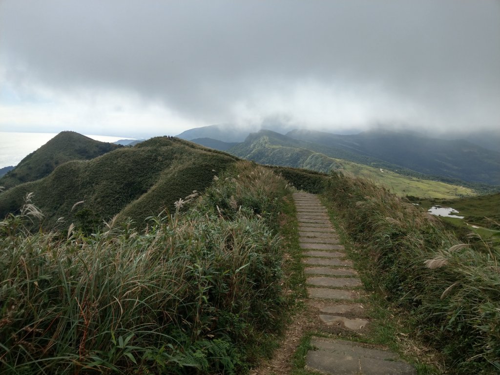 草嶺古道及桃源谷賞芒&&一望無際的綠_748782
