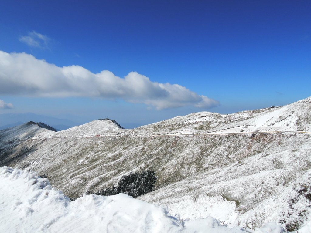 合歡山也有藏王樹冰的雪景封面圖