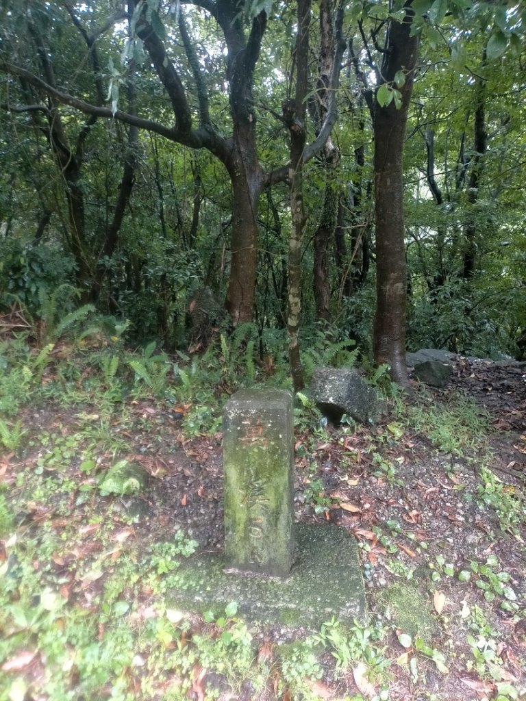 壹北大縱走第四段：風櫃嘴至大湖公園_2809575