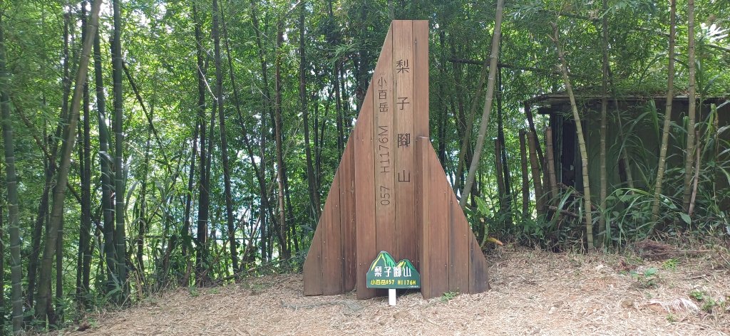 梨子腳山.嘉義梅山封面圖