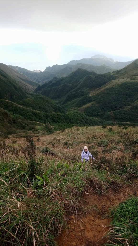 燦光寮山+古道+貂山O型_249518