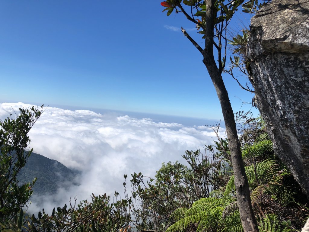 鳶嘴稍來國家步道季秋縱走_1144508