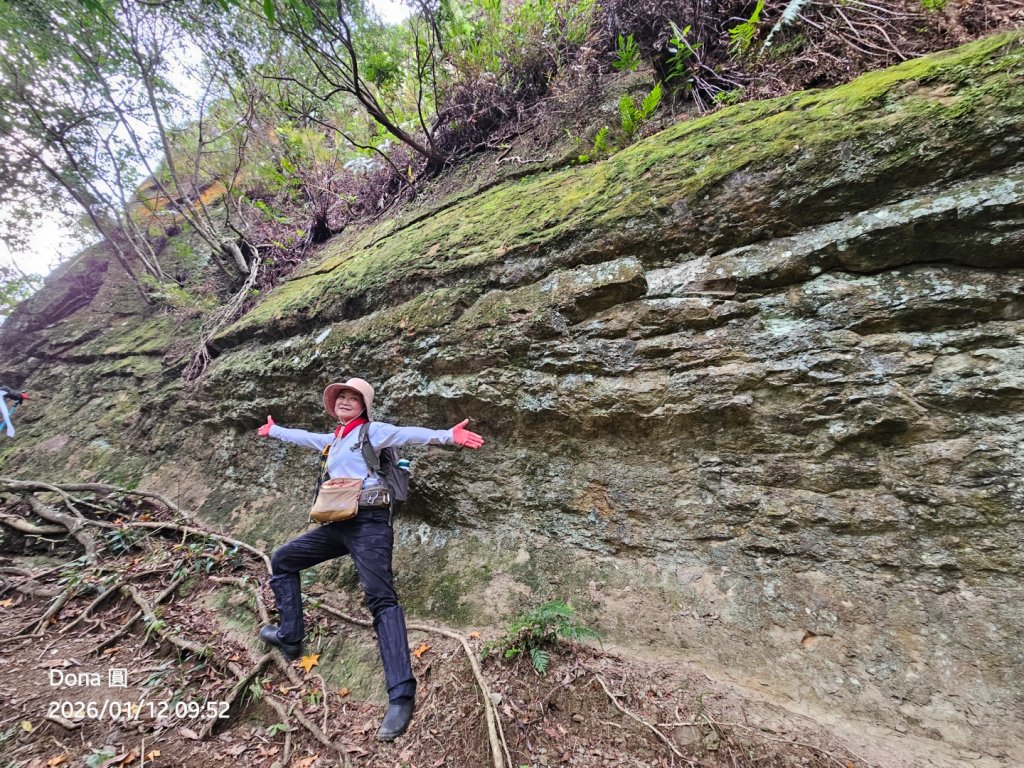20260112月扇湖山&四分子古道O走+烏塗溪步道_2986533