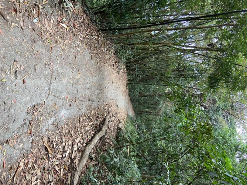 谷關七雄-白毛山_1926082