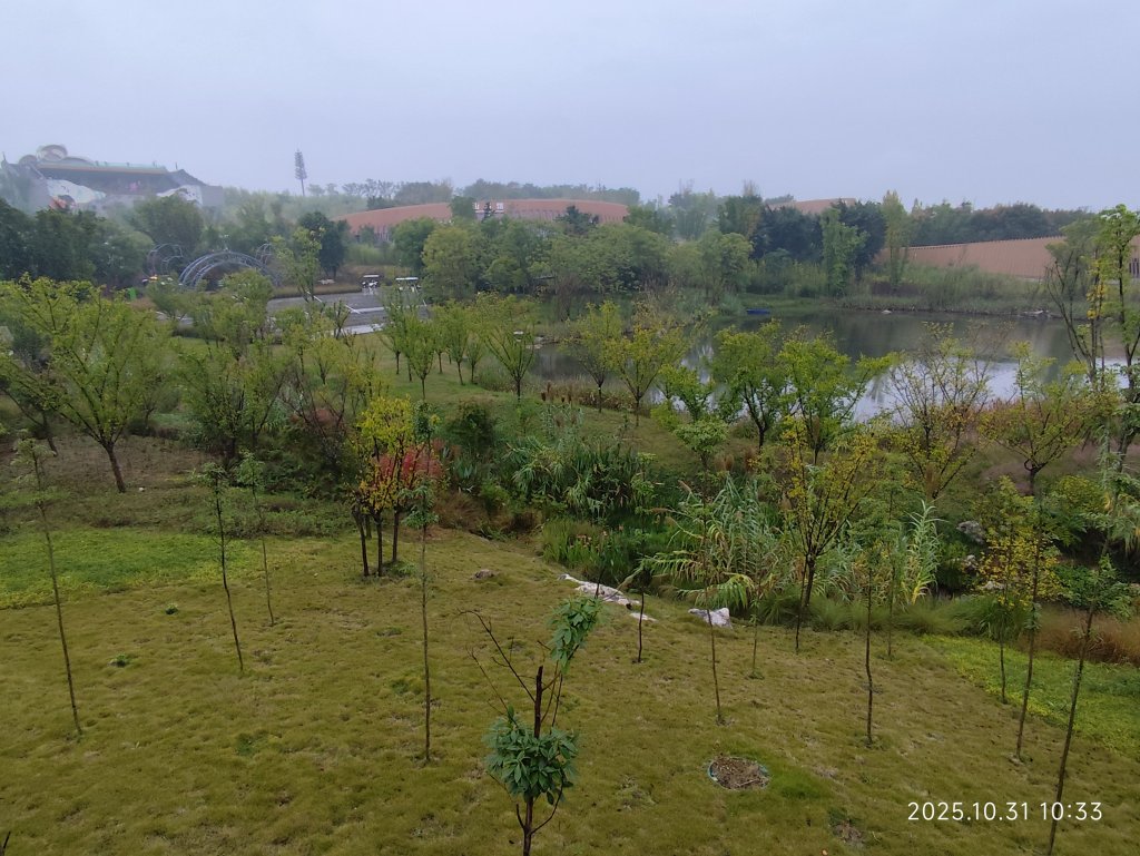 四川成都大熊貓繁育研究基地_2940716