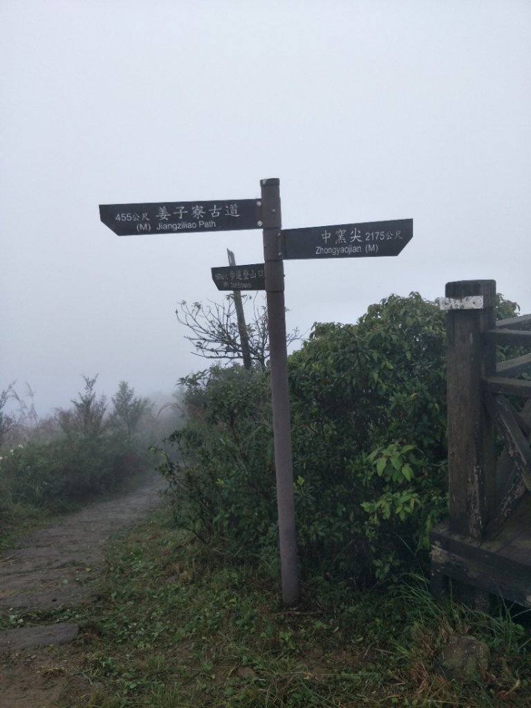 小百岳:姜子寮山(姜子寮、草濫越嶺、泰安瀑_1519230