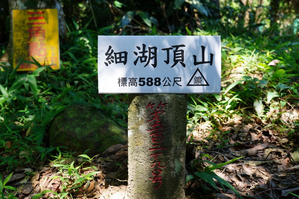 苗栗 南庄 神桌山、大屋坑山、細湖頂山、象山封面圖