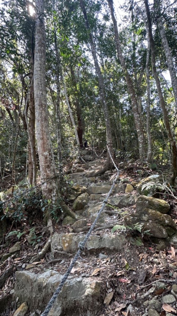 裡冷上唐麻丹O繞+蝴蝶谷_2742923
