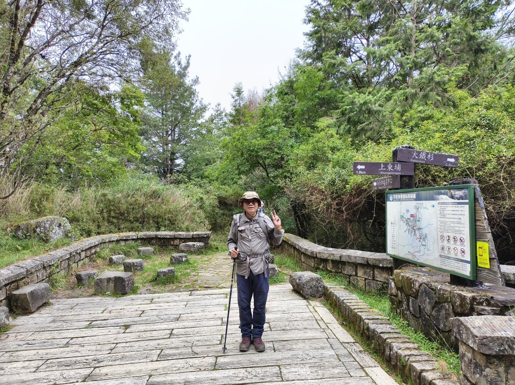 [玉山尋寶任務-05/12] 2025_0823 塔塔加步道(大鐵杉登山步道)封面圖