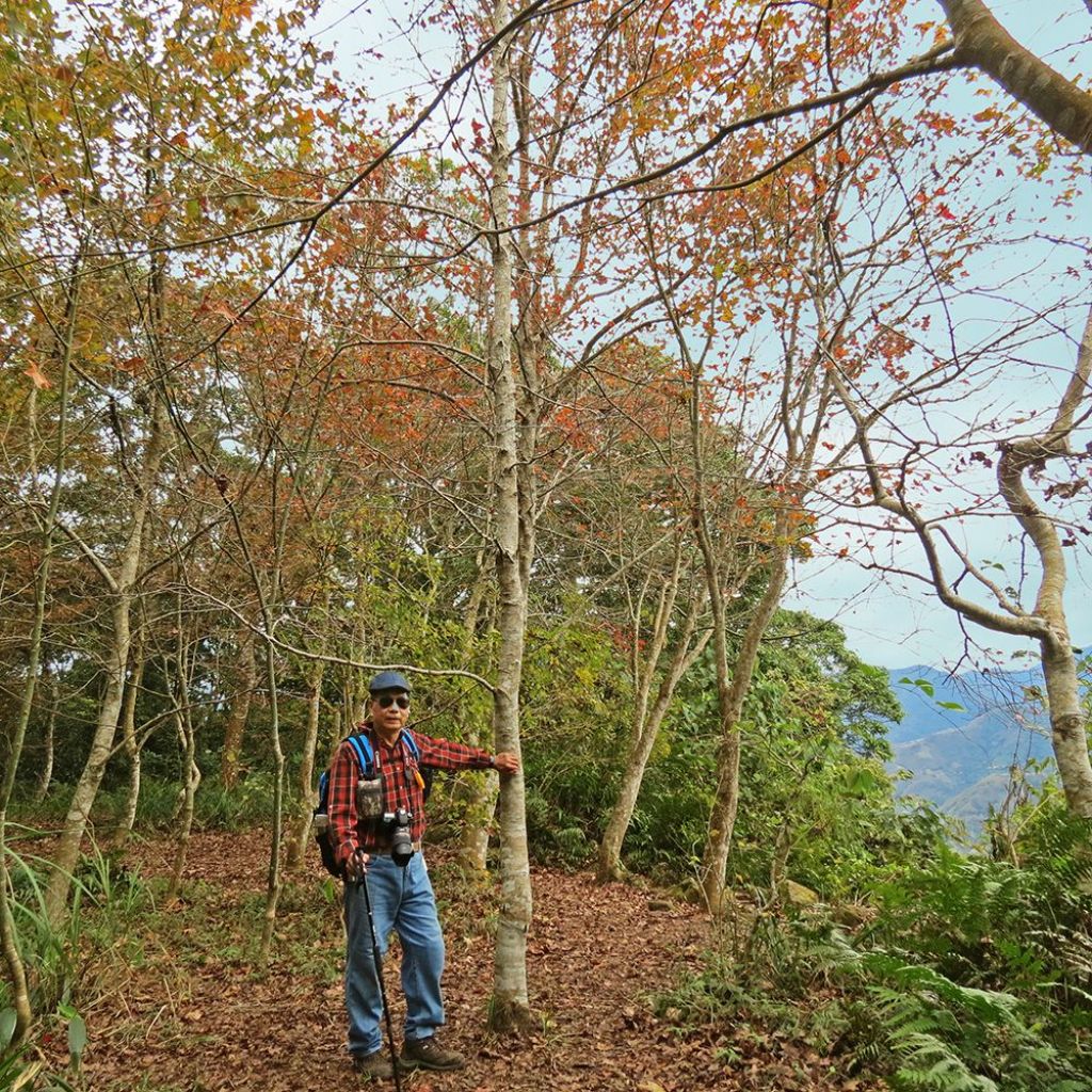 馬那邦山(珠湖線來回)_375042