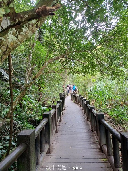 【苗栗南庄】沿途潺潺溪水聲。 蓬萊溪護魚步道_2688903